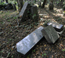 Foto: APA/ROLAND SCHLAGER